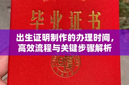沭阳出生证明制作的办理时间，高效流程与关键步骤解析