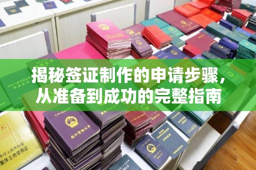 沭阳揭秘签证制作的申请步骤，从准备到成功的完整指南