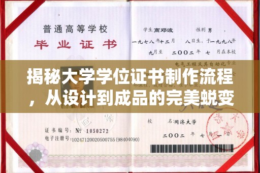 沭阳揭秘大学学位证书制作流程，从设计到成品的完美蜕变