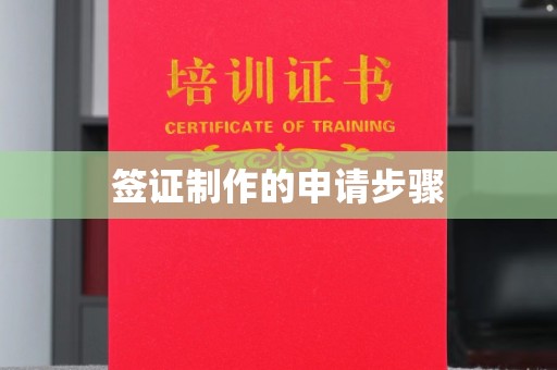 沭阳签证制作的申请步骤
